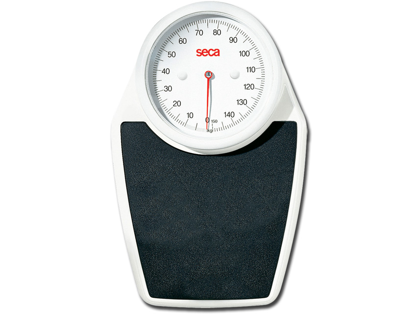 SECA 762 SCALE - PROFESSIONAL