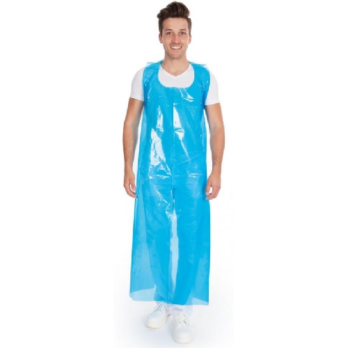 AIZSIENAMI PRIEKŠAUTI, ZILI