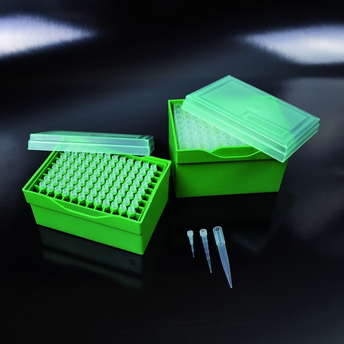 PIPEŠU UZGAĻI KASTĪTĒ