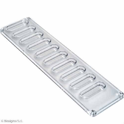 ASINS GRUPAS NOTEIKŠANAS SLOKSNĪTES 10 VIETAS PS