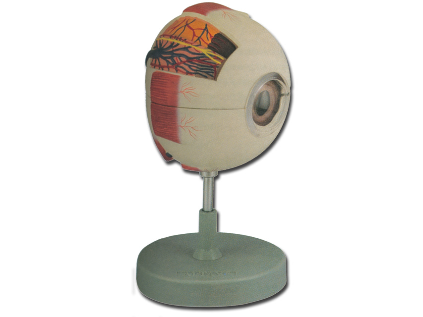 acs - 6 daļas - 6x1