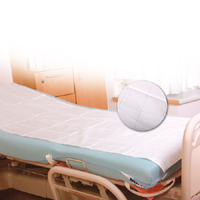 Vienreizlietojami nestuvju pārklāji, 10 zilas līnijas, 1-kārta, 210 x 75 cm, balti, N200