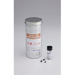 Staphylococcus aureus ATCC 6538