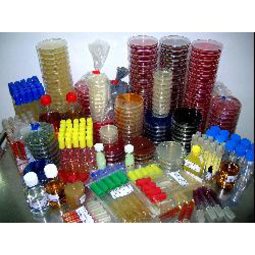 mueller hinton ii agar/mueller hinton ii agar