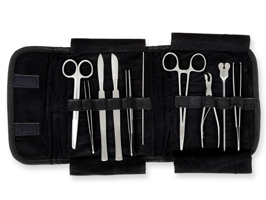 Klasisks komplekts.Neilona soma.10 priekšmetu