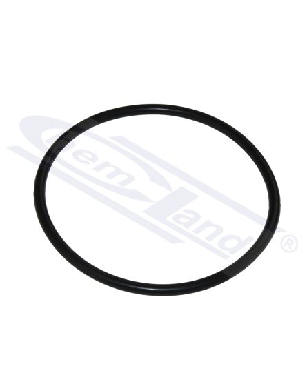 gumijas blīvējums fi 100 reakcijas kolbai